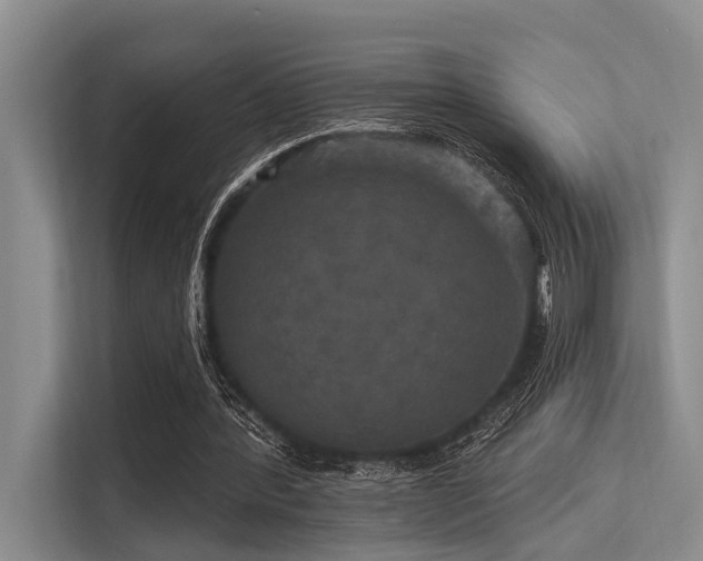 X0000113550388200909181203