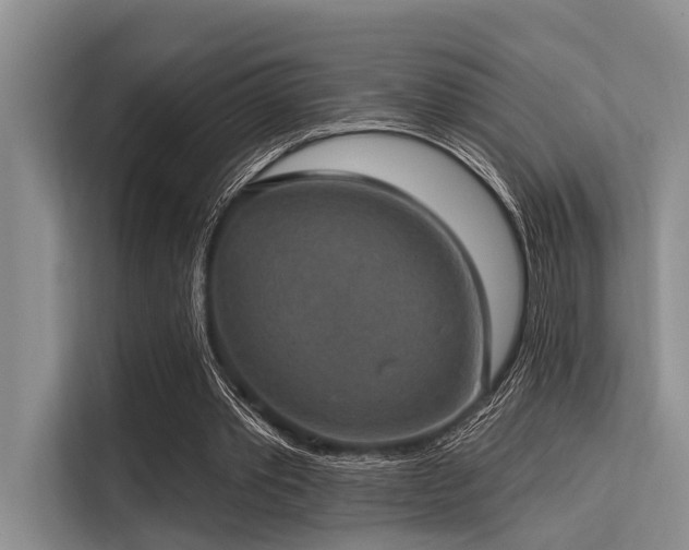 X0000113550389200909181203