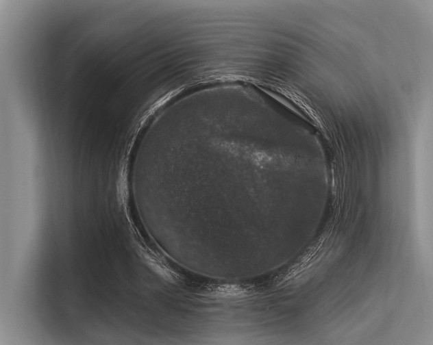 X0000113550390200909181203