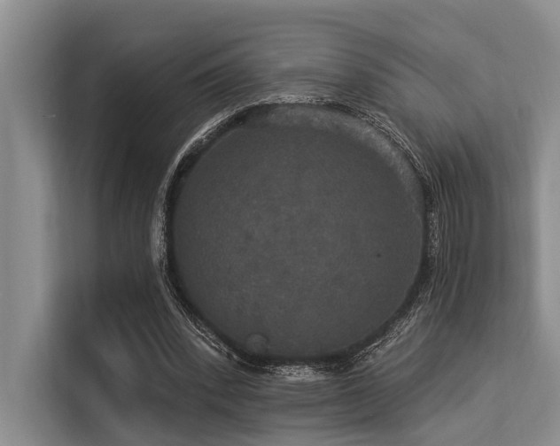 X0000113550392200909181203