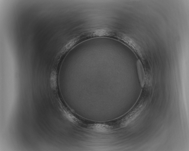 X0000113550393200909181203