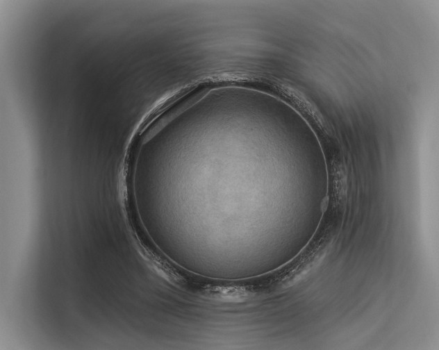 X0000113550395200909181203