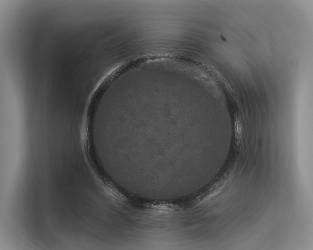 X0000113550396200909181203