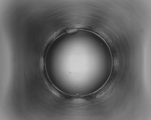 X0000113550397200909181203