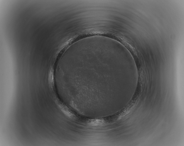 X0000113550398200909181203