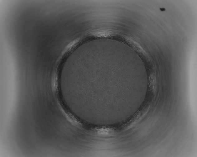 X0000113550400200909181203