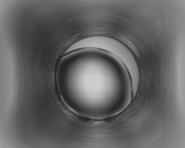 X0000113550401200909181203