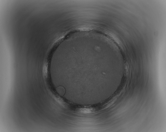 X0000113550404200909181203