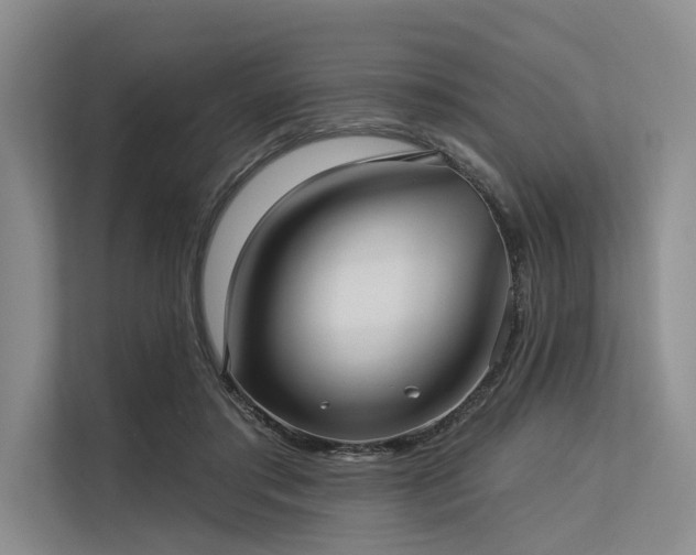 X0000113550405200909181203