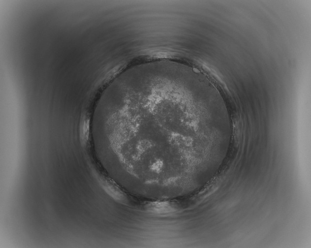 X0000113550406200909181203