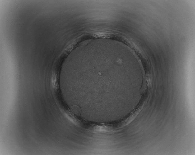 X0000113550408200909181203