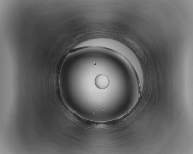 X0000113550409200909181203