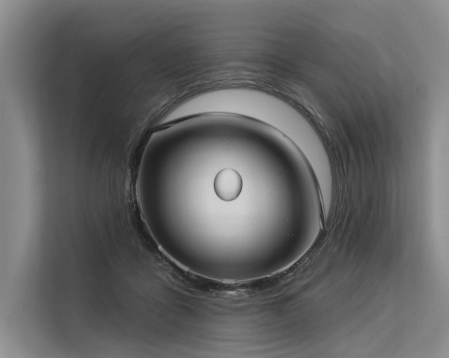 X0000113550411200909181203