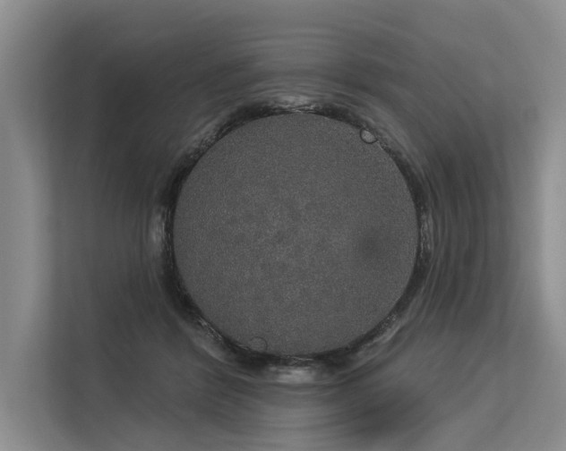 X0000113550412200909181203