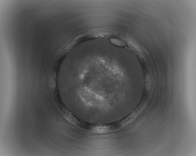 X0000113550413200909181203