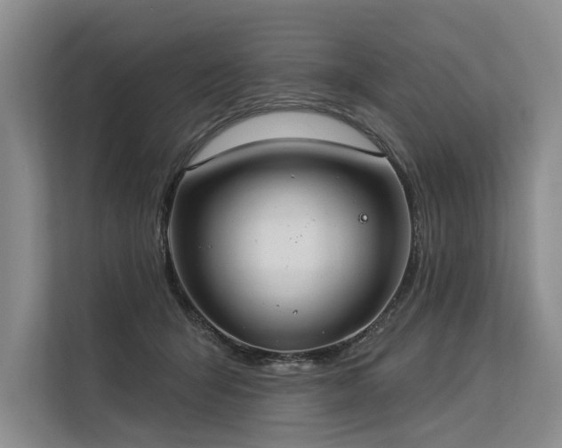 X0000113550415200909181203