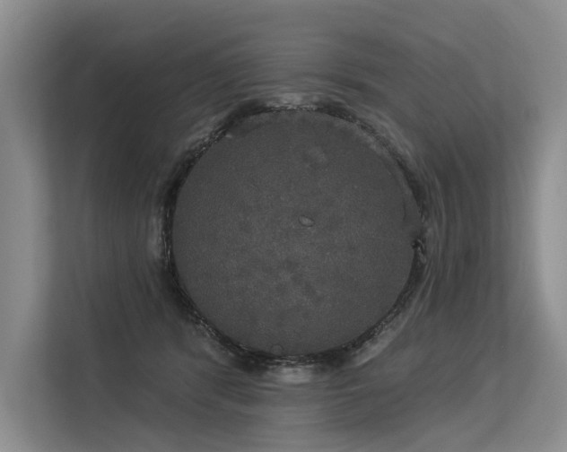 X0000113550416200909181203