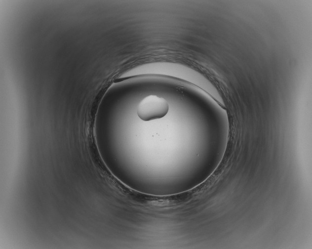 X0000113550417200909181203