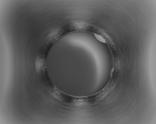 X0000113550419200909181203