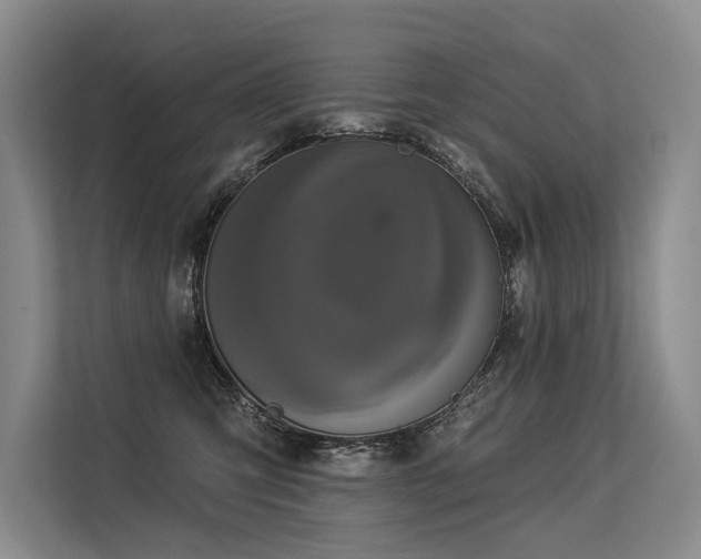 X0000113550423200909181203