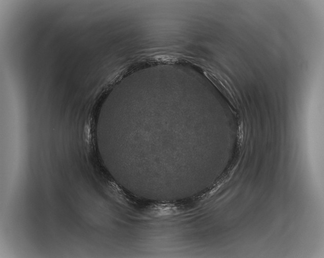 X0000113550424200909181203