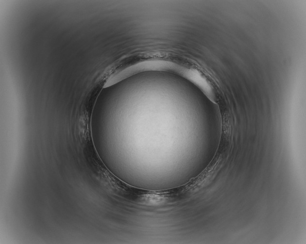 X0000113550425200909181203