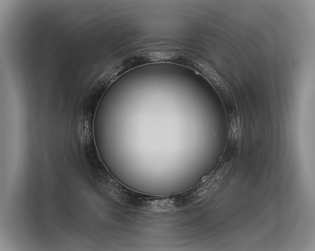 X0000113550426200909181203