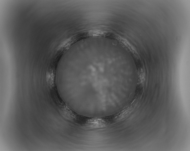 X0000113550427200909181203