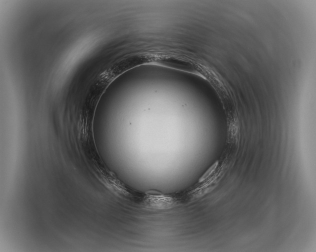 X0000113550429200909181203