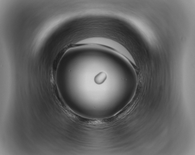 X0000113550431200909181203