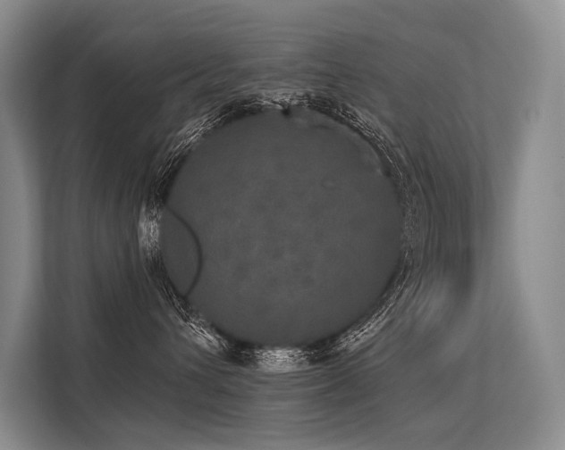 X0000113550432200909181203