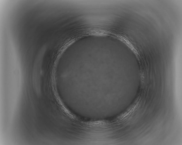 X0000113550433200909181202