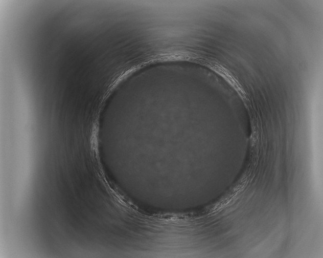 X0000113550434200909181202