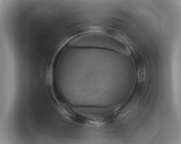 X0000113550436200909181202