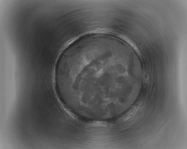 X0000113550437200909181202