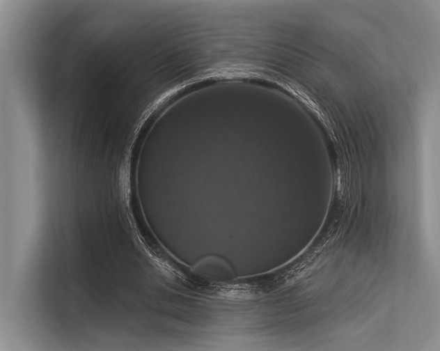 X0000113550438200909181202