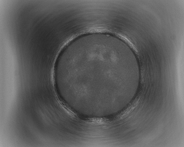 X0000113550439200909181202