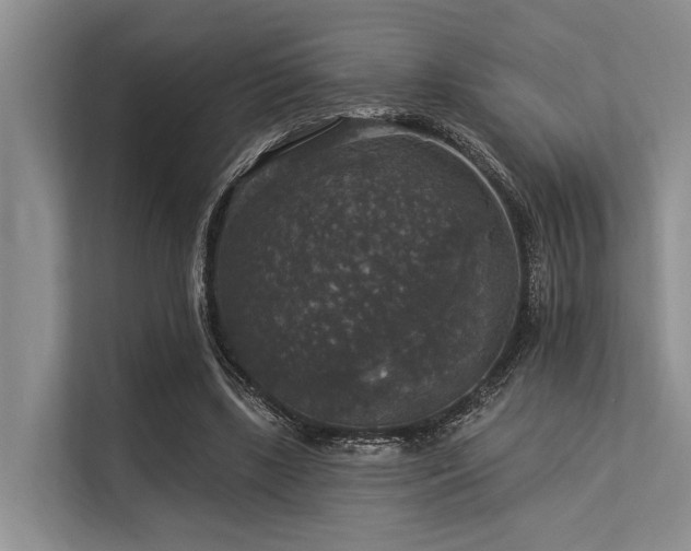 X0000113550443200909181202