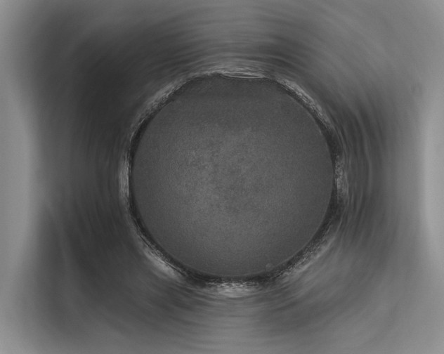 X0000113550445200909181202