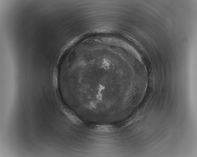 X0000113550446200909181202