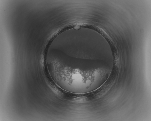 X0000113550447200909181202