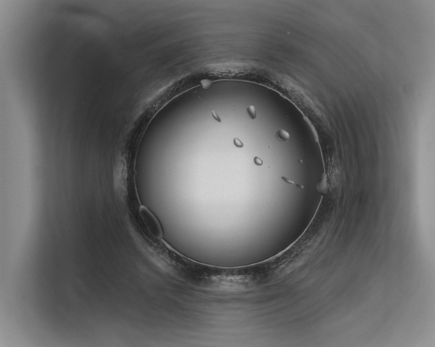 X0000113550448200909181202