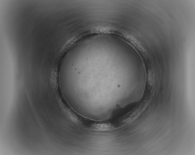 X0000113550449200909181202