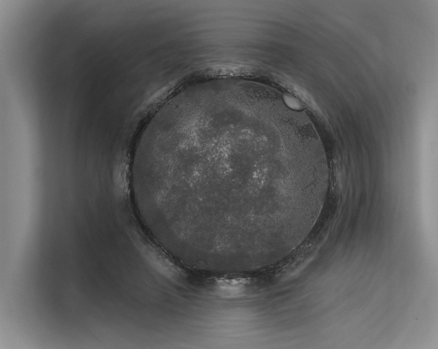 X0000113550450200909181202