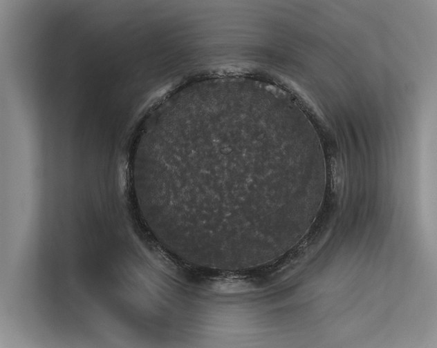 X0000113550451200909181203