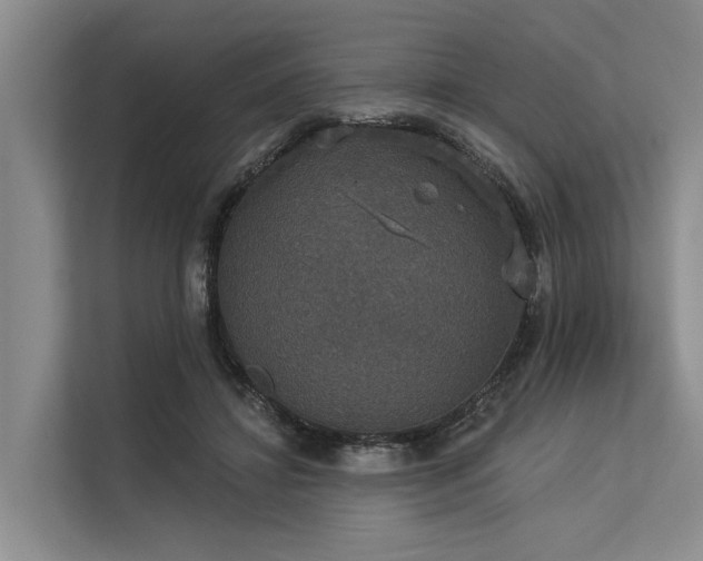 X0000113550452200909181203