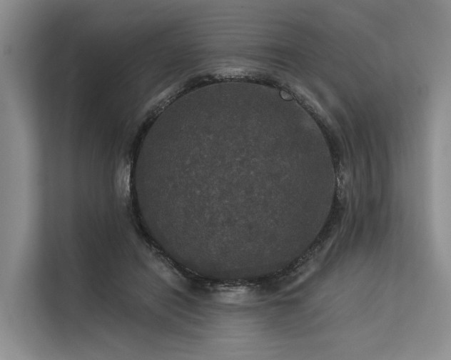 X0000113550454200909181203