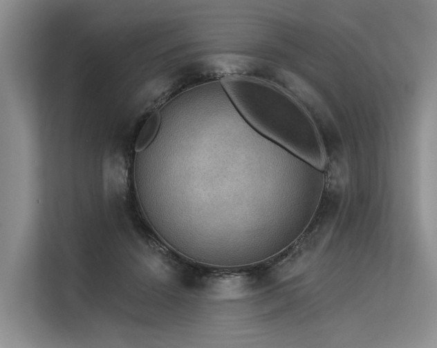 X0000113550456200909181203