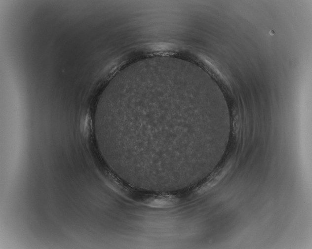 X0000113550459200909181203