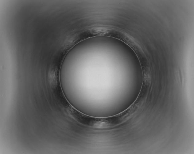 X0000113550460200909181203